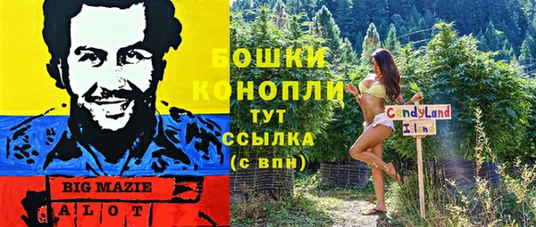 метадон Аркадак